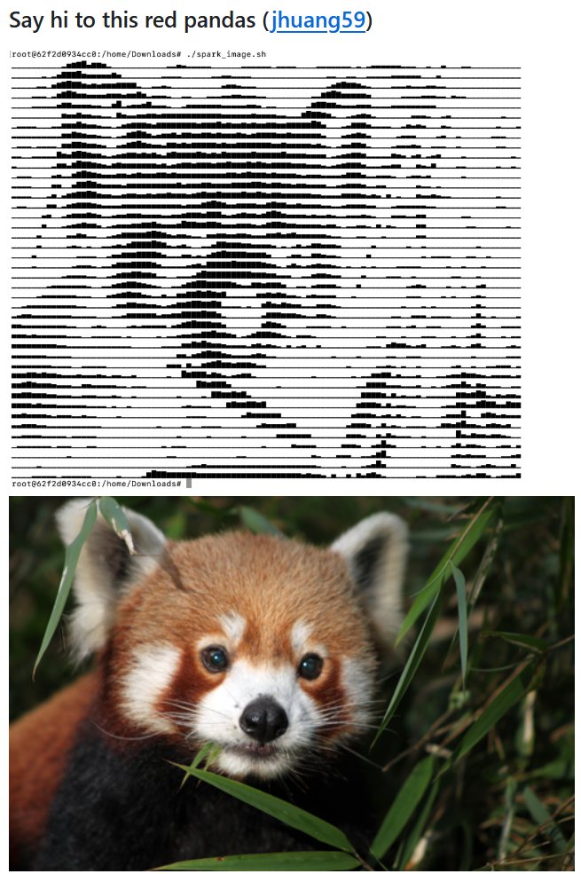 A red panda photo drawn as spark bar charts in a terminal
